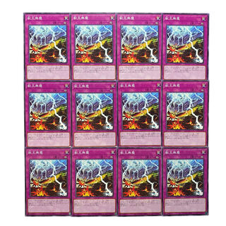 2132【遊戯王】獣王無塵　12枚セット