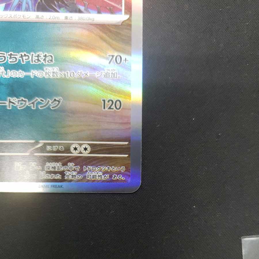 Todorokutsuki R 051/071