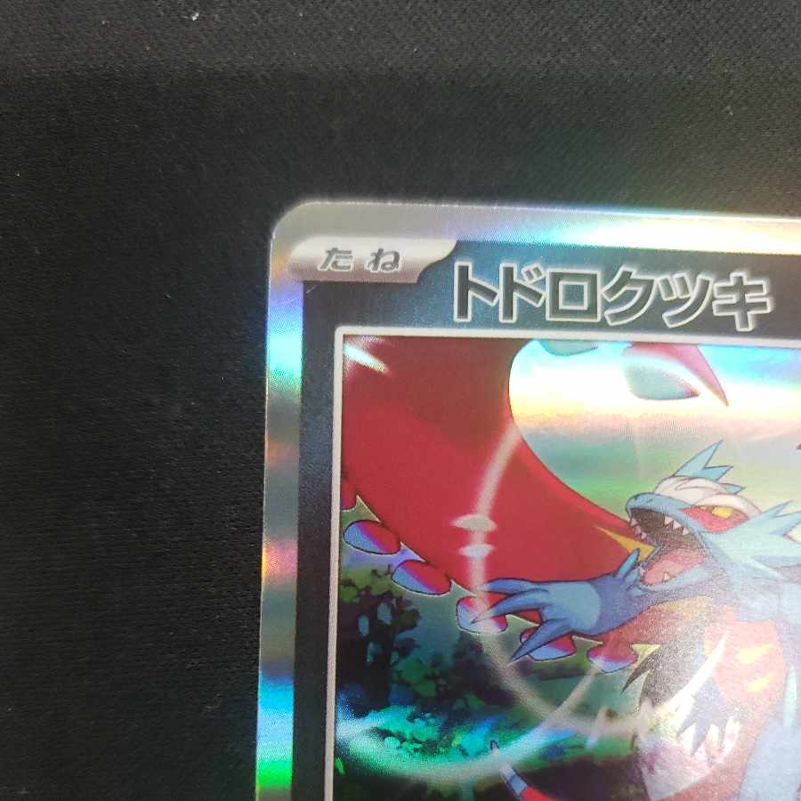 Todorokutsuki R 051/071