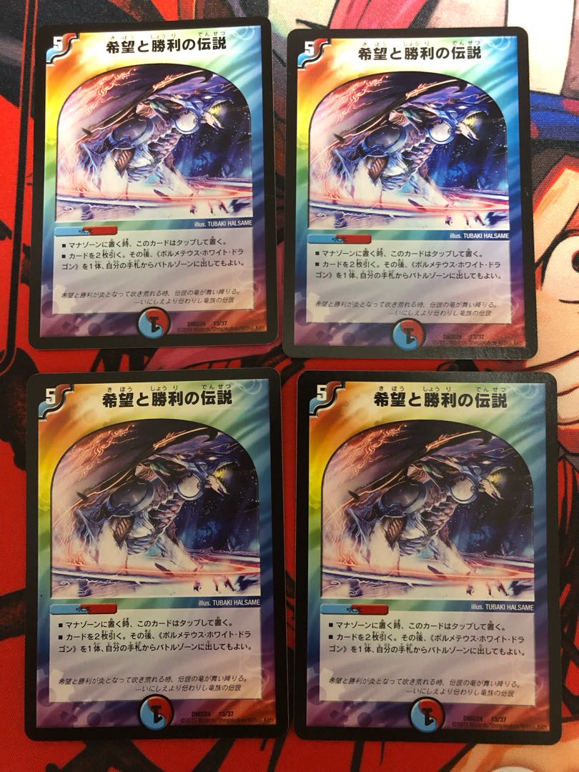 Legend of Hope and Victory 13/37