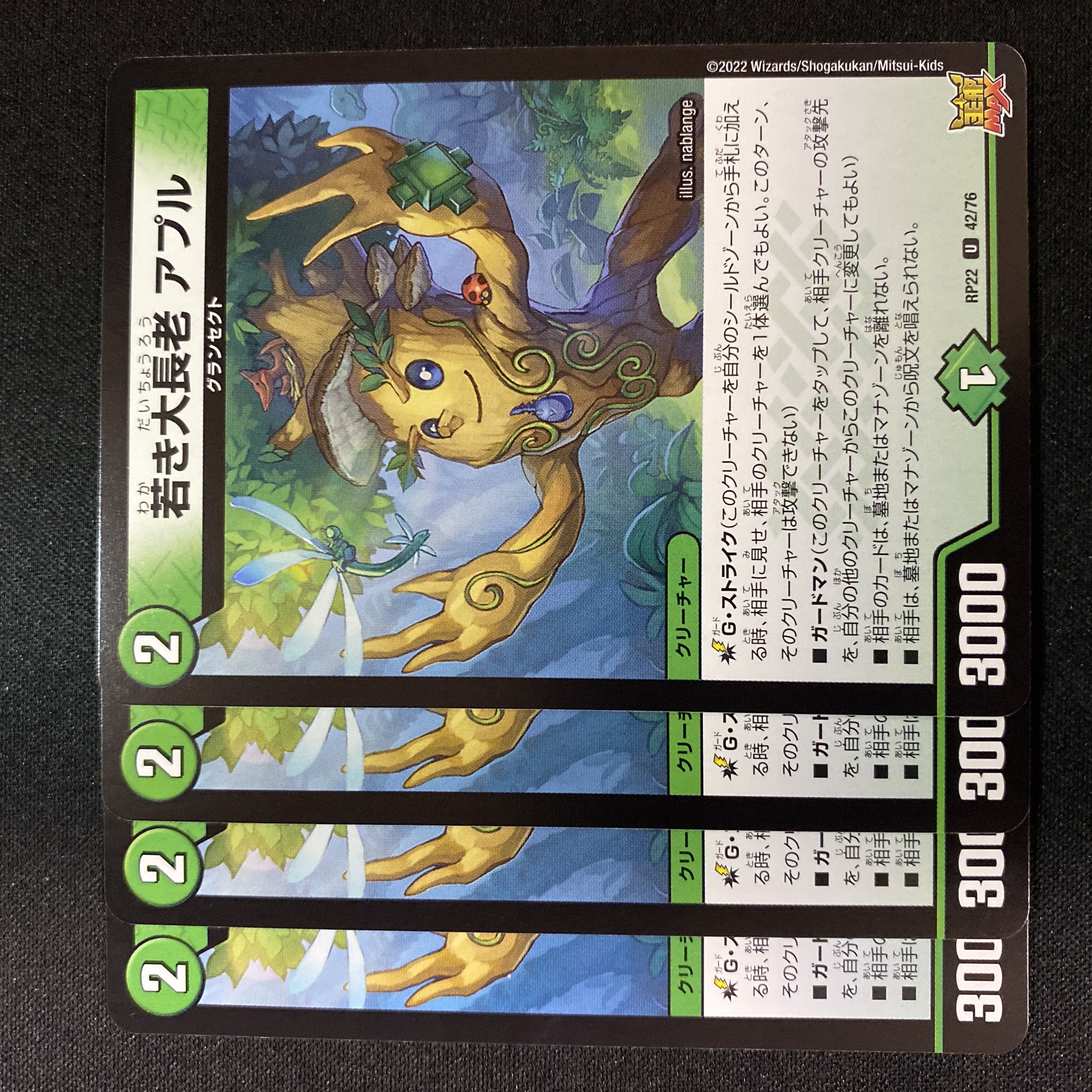 若き大長老 アプル U 42/76