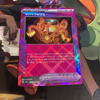 Survive Gips ACE 059/066