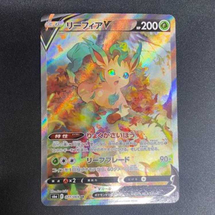 LeafeonV SR 071/069 SA Management02