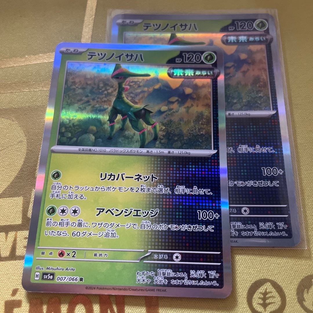 Tetsunoisaha R 007/066