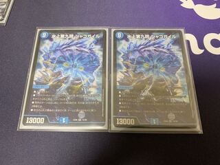 水上第九院 シャコガイル　2枚