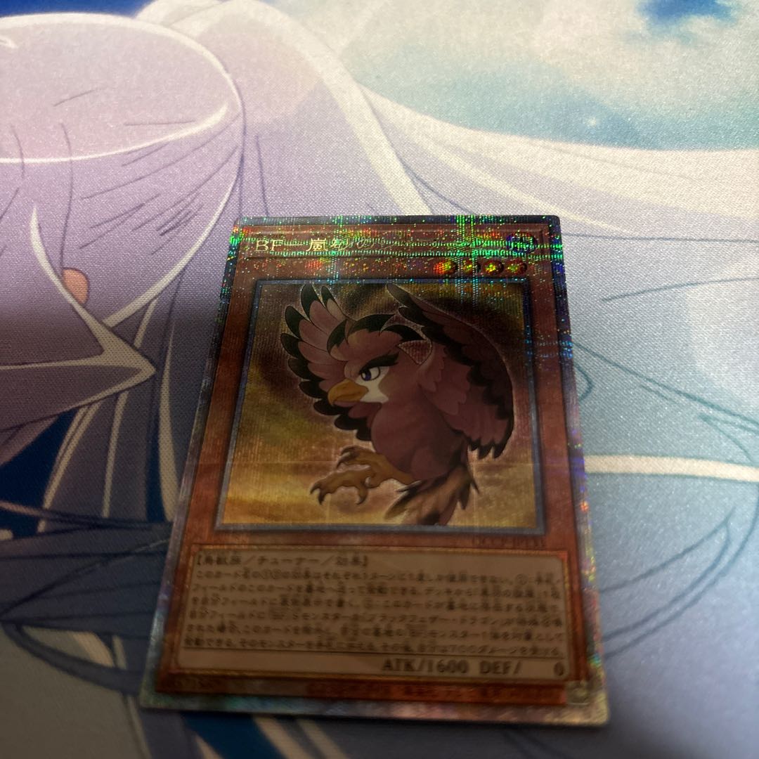 BF-Storm Shamar of the Sands QCSE, 25th Sikh QCCP-JP133