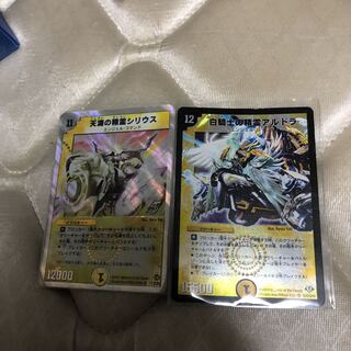 天海の精霊シリウス&白騎士の精霊アルドラ