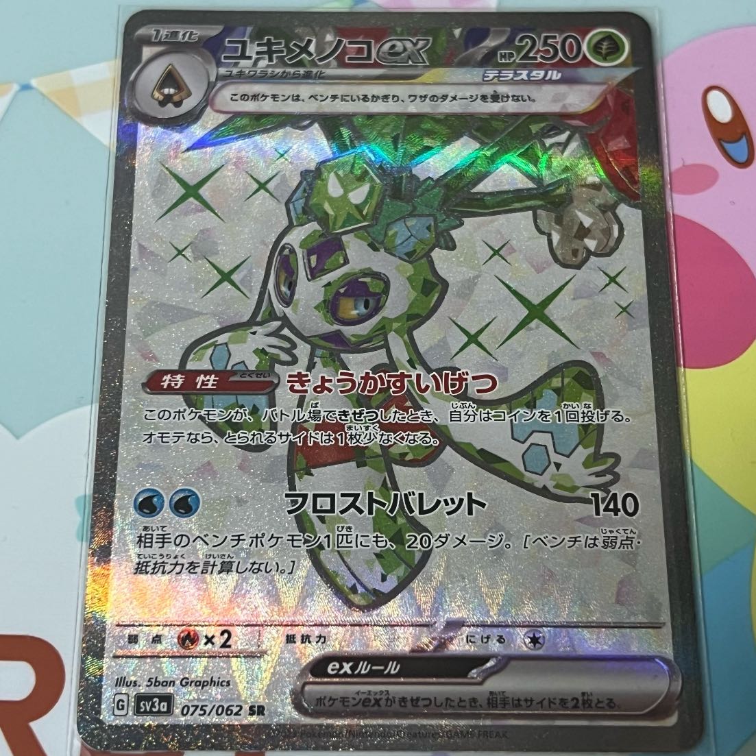 Froslassex SR 075/062