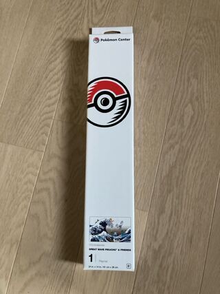 Play Mat Pokemon