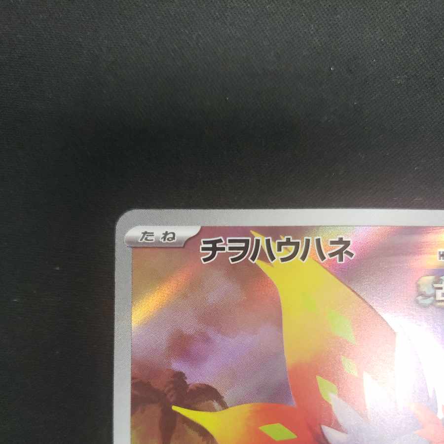 Chiwo Hau Hane AR 074/066