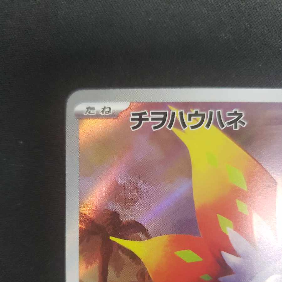 Chiwo Hau Hane AR 074/066