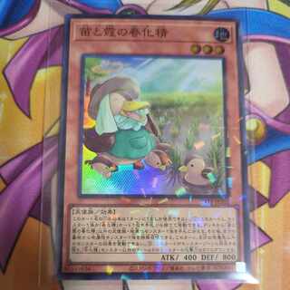 Miao and Kasumi no Shunka Seijin Super Parallel 24TP-JP202 Tournament Pack Yu-Gi-Oh!