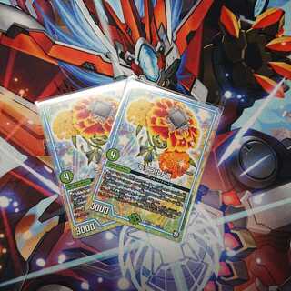 Marigold Saad 2 sheets