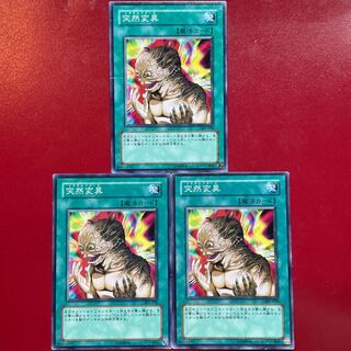 Yu-Gi-Oh Metamorphosis [301] Set of 3