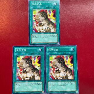 Yu-Gi-Oh Metamorphosis [301] Set of 3