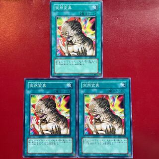 Yu-Gi-Oh Metamorphosis [EE1] Set of 3