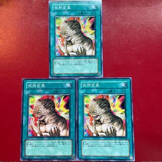 Yu-Gi-Oh Metamorphosis [EE1] Set of 3