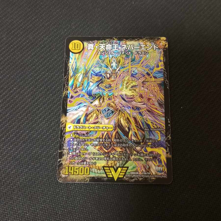 True Sacred Church Endless Heaven|True Heavenly King Never End VIC V3a/V8|V3b/V8