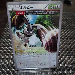 ホルビー 107/171　（XY）