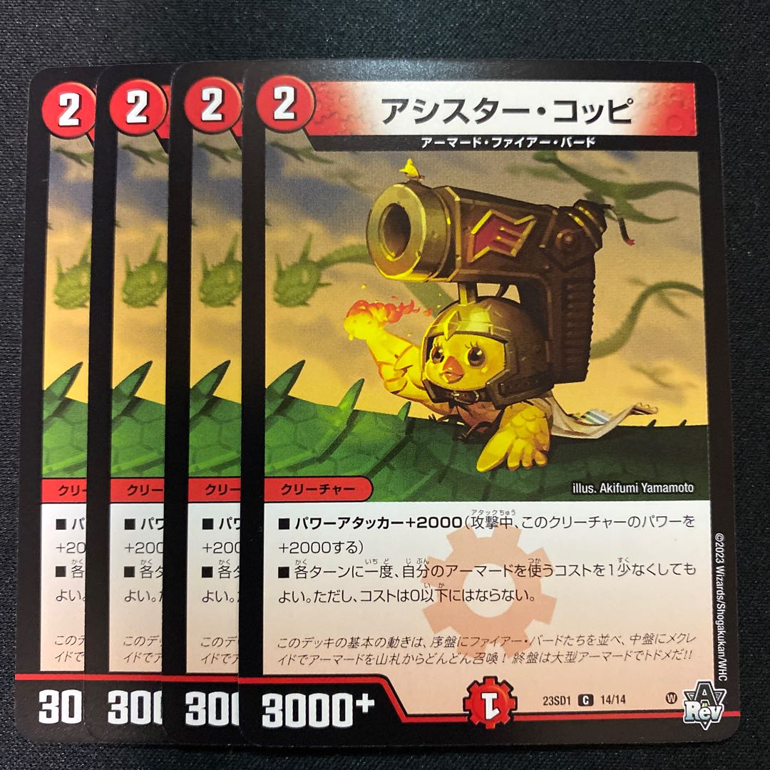 Assister Koppi C 14/14