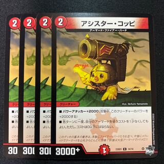 Assister Koppi C 14/14