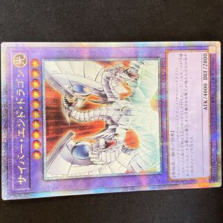 Cyber End Dragon QCSE, 25th Sikh QCCP-JP021