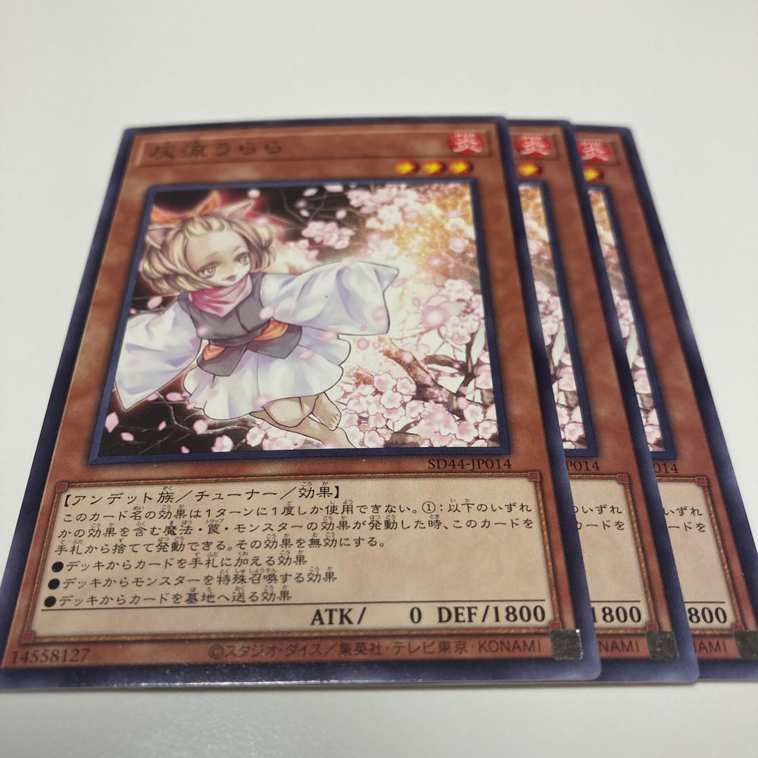 Ash Blossom & Joyous Spring Normal JP014