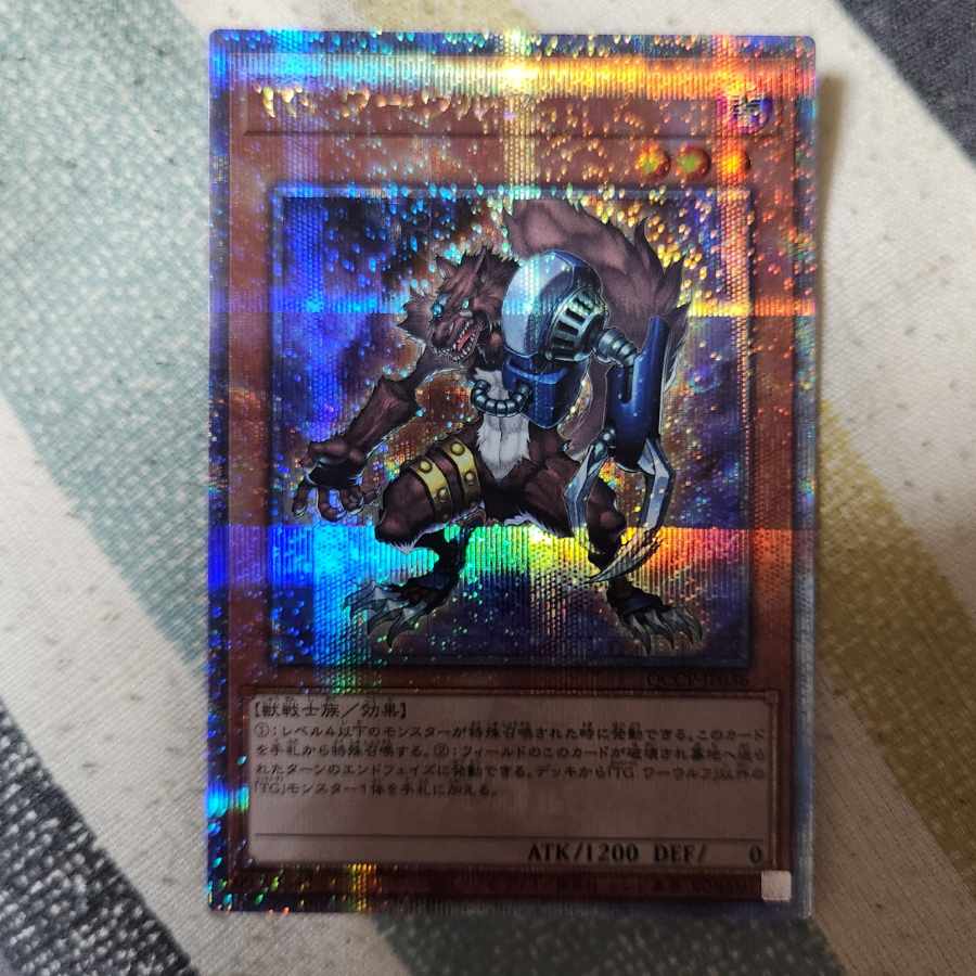 T.G. Warwolf QCSE, 25th Sikh QCCP-JP036