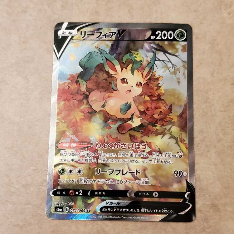 LeafeonV SR 071/069 Management 01