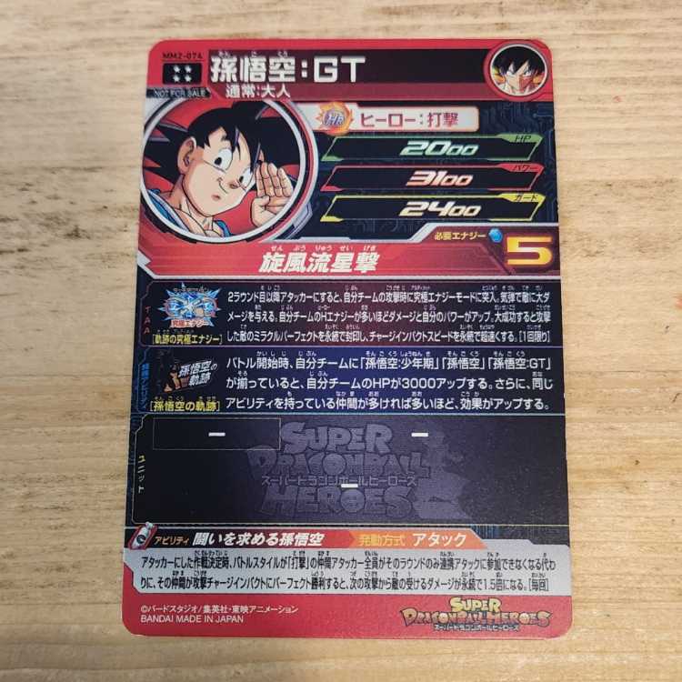 Monkey: GT MM2-074 Management 03