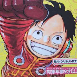 One Piece card for confirmation