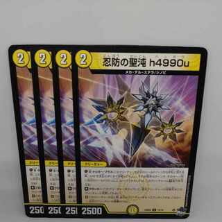 忍防の聖沌 h4990u C 13/14