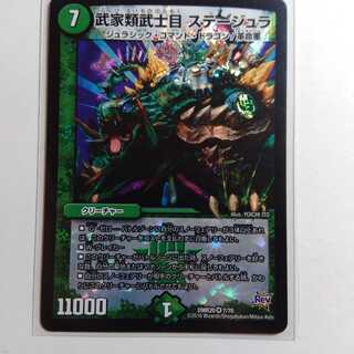 武家類武士目　ステージュラ