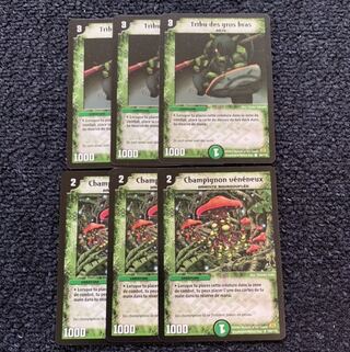 青銅の鎧,シビレアシダケ 海外版