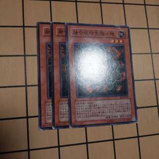 融合呪印生物-地　wstorm