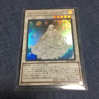 ガーデン・ローズ・メイデン UR