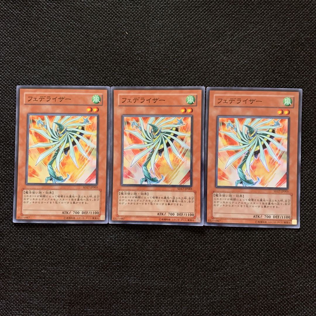 フェデライザー SR