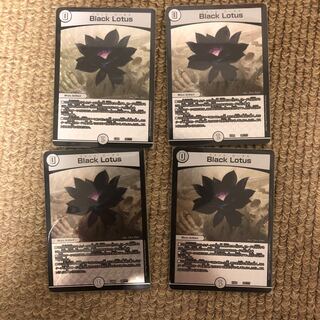 最安値　Black Louts ブラックロータス　4枚