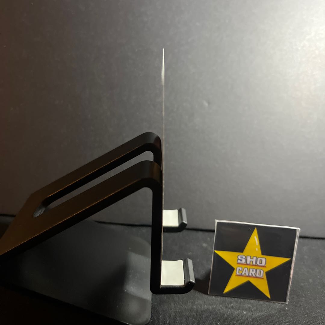 【おたのしみセット】サーフゴーex RR 050/062 ハッサムex RR 044/071