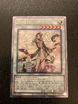 Aromatherapy Sweet Marjoram 25th (Kuosik)