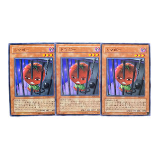 2231 [King of Games] Inmato 3-card set