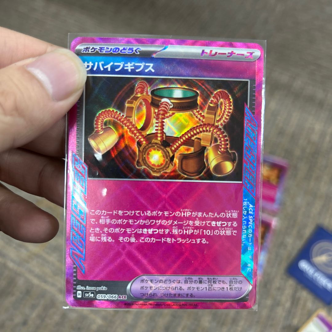 Survive Gips ACE 059/066