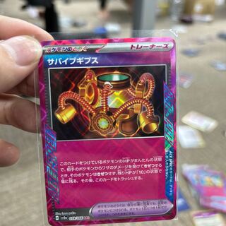 Survive Gips ACE 059/066