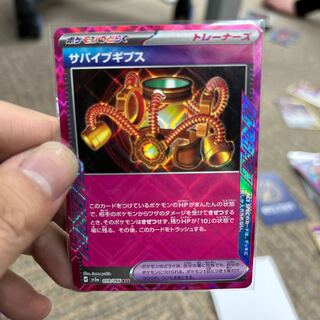 Survive Gips ACE 059/066