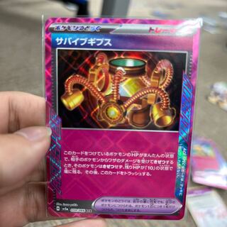 Survive Gips ACE 059/066