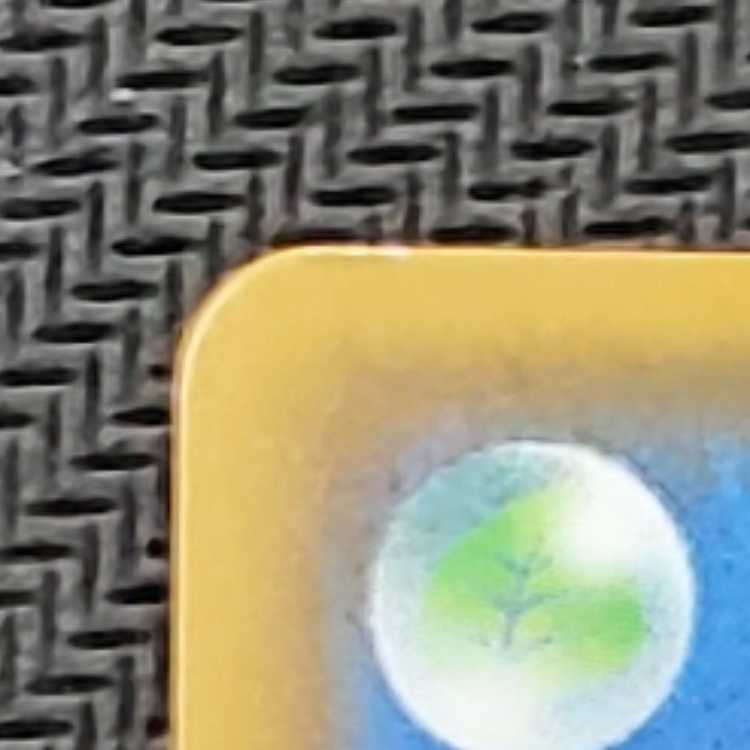 CharizardVMAX SSR 308/190 Management 01