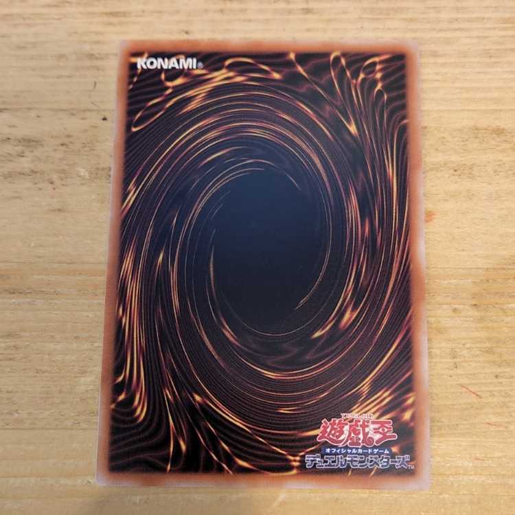 D/D Necro Slime QCSE, 25th Sikh QCCP-JP069 Management 03