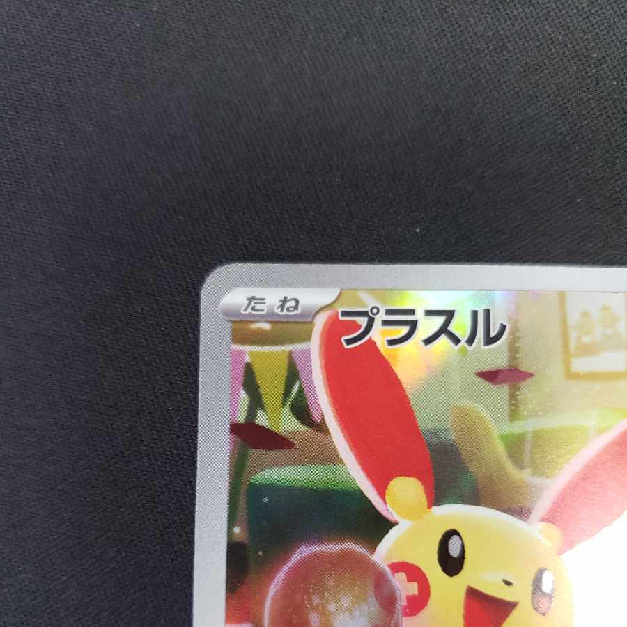 Plusle AR 065/062
