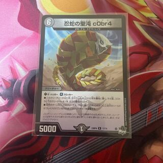 忍蛇の聖沌 c0br4 R 17/74