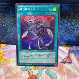 Black Feather Whirlwind Super Rare QCCP-JP143